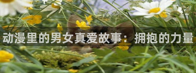 58动漫在线看